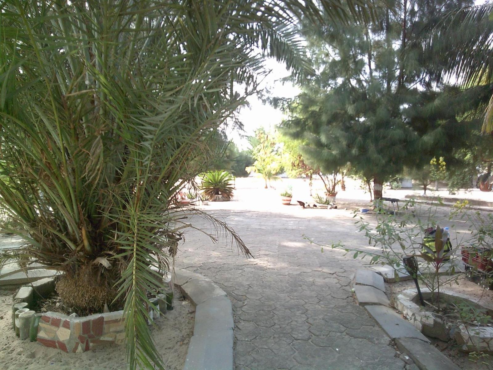 Mangrove Beach Sanyang Exterior photo