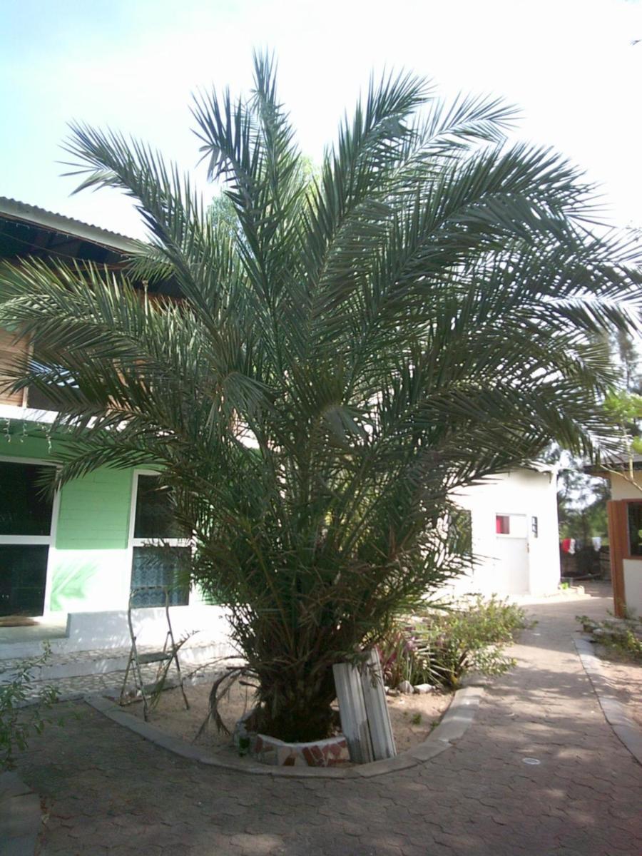 Mangrove Beach Sanyang Exterior photo