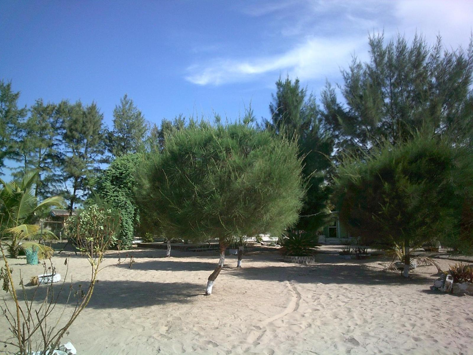 Mangrove Beach Sanyang Exterior photo