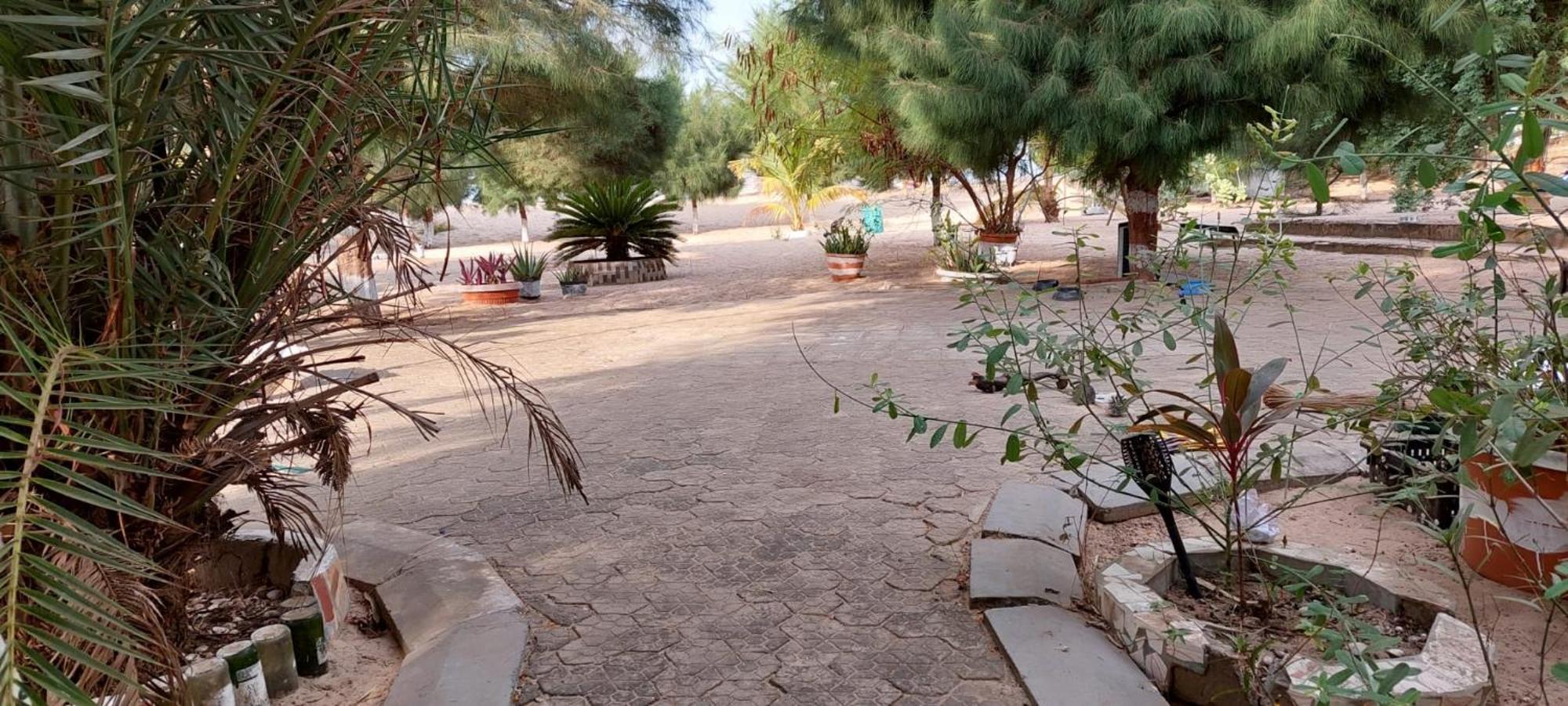 Mangrove Beach Sanyang Exterior photo