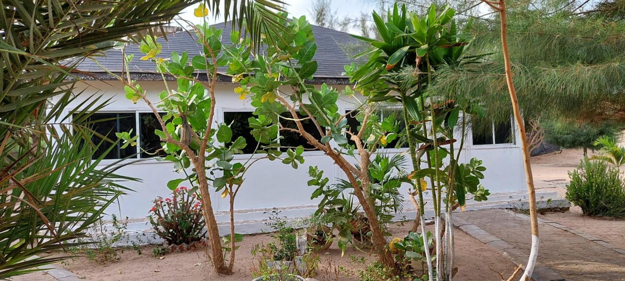 Mangrove Beach Sanyang Exterior photo