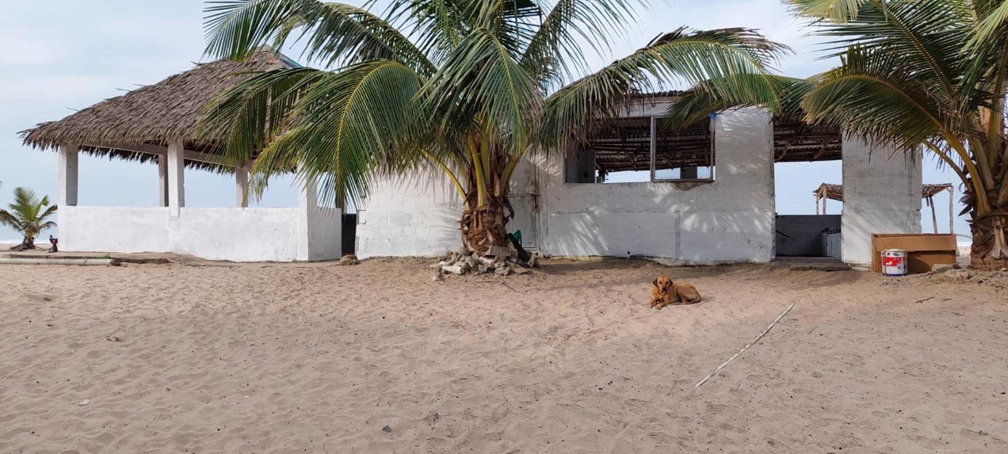 Mangrove Beach Sanyang Exterior photo
