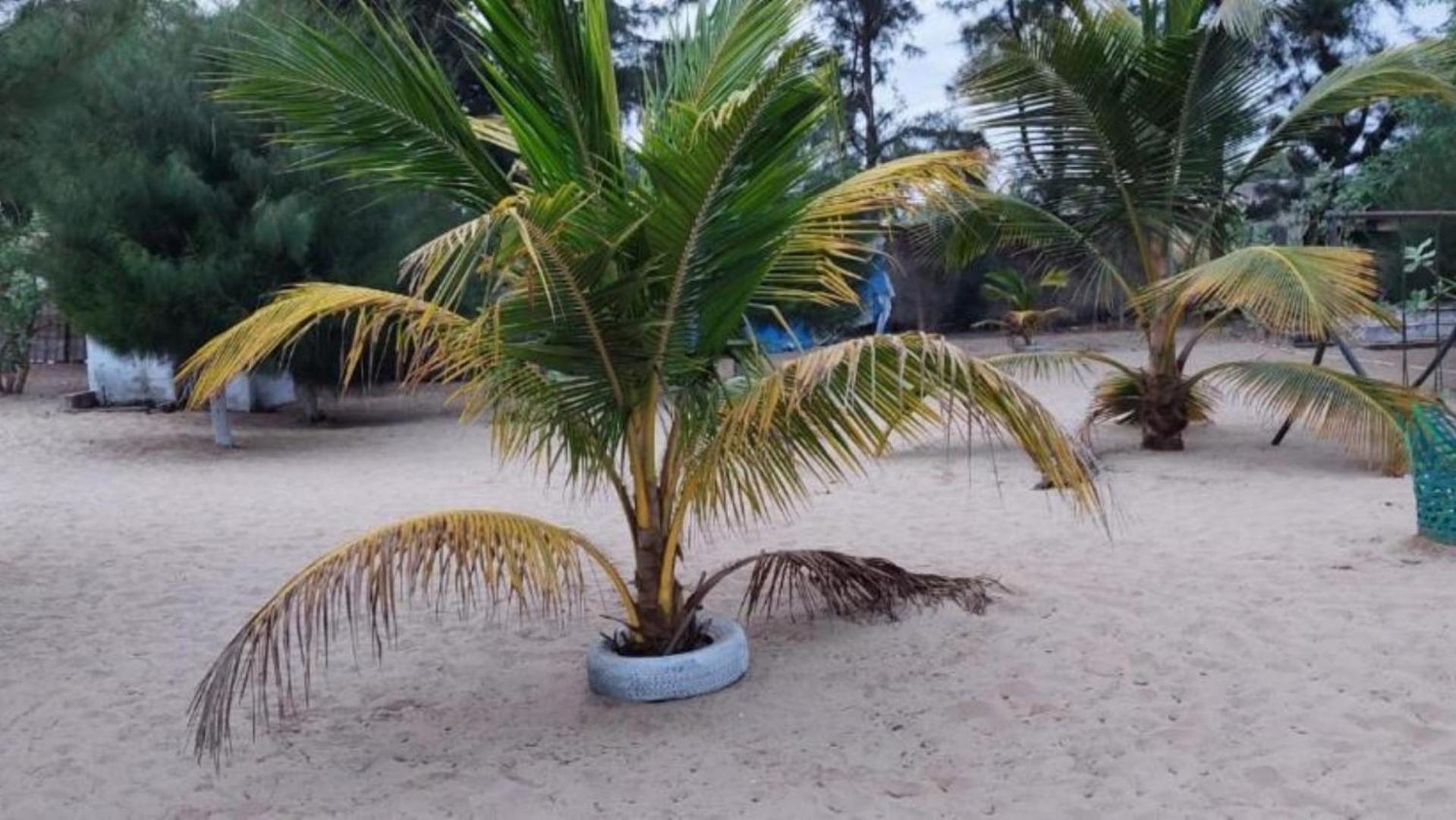 Mangrove Beach Sanyang Exterior photo
